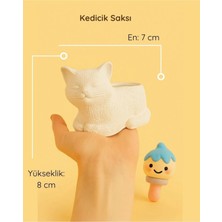 ColorBuddie Kedicik Seramik Saksı | Boyanabilir El Yapımı Beton Tozu Obje