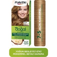 TeknoKapsül Palette Kalıcı Doğal Renkler 7-5 Açık Karamel Shea Yağı Saç