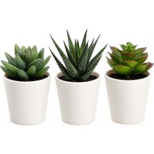 MarkEntegra Yapay Saksı Bitkisi, Iç ve Dış Mekan Için 3'lü Paket, Modern Tasarım