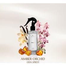 Muscent Amber Orchid Spreyli Oda Kokusu