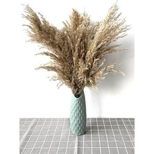 Alyones Gerçek Kuru Çiçek 7'li Büyük Boy 100 cm Pampas