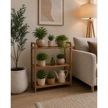 Pema Home %100 Mdf Modern Minimalist 3 Raflı Çok Amaçlı Dekoratif Düzenleyici Kitaplık