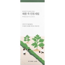 The Vivia Roundlab Mugwort Calming Serum Yüz Serumu 50 ml