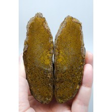 Healcrystal Yoğun Altın Rengi Hardal ve Bronz Almus Tüy Akik Cilalı Çift