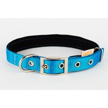 Gees Köpek Boyun Tasması 2X32-42 cm Turkuaz