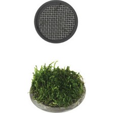 Kmrsfres Ista Bitki Taban Seramik 5 cm Yuvarlak