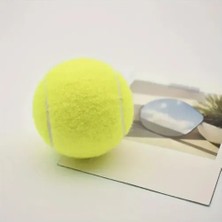 Aydogan's 3'lü Köpek Oyun Tenis Topu