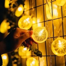 Aydogan's 2m 10 LED Pilli Limon Işık