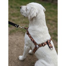 Balkonda Köpek Göğüs Tasması Orta Irk Ayarlamalı Önden ve Sırttan Çekmeli Kolon Kordon Leopar Desen