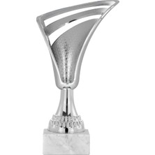 ODAK KUPA - Genel Kupalar - GN-022 A - 21 cm