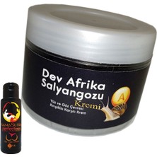 Alvera Collection Giant 100ML Kasutra:29 Krem Dev Afrikasalyangozu Anti-Aging  + L.kamasutra Kalçaşekillendirme Kremi 60 ml