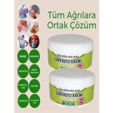 Alvera Collection Çörekotu Kremi Bel Sırt Ad.ale Sızılarını Ağrı ve Masaj Kremi 200 ml