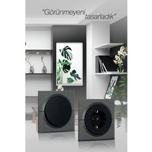 Ovivo Wogg Siyah Mekanizma-Terra Antrasit, Bakır, Inox, Bronz, Haki, Mor,siyah