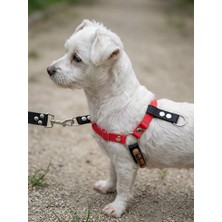 Balkonda Köpek Göğüs Tasması Küçük & Orta Irk Ayarlamalı Önden ve Sırttan Çekmeli Kolon Kordon Kırmızı & Siyah
