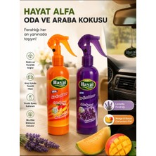 Hayat Oto ve Oda Kokusu 2 Adet