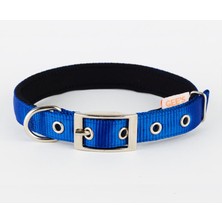 Gees Köpek Boyun Tasması 2X37-47 cm Mavi