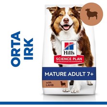 Hill's SCIENCE PLAN Light +7 Yaşlı Orta Irk Kuzulu ve Pirinçli Köpek Maması 2,5 kg