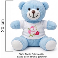Peluş Ayıcık