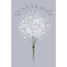 Independently Published Gratitude Journal: Daily Gratitude Journal: Gratitude Journal For Practicing Positivity