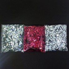 Glitter Süsleme Pulu Hologramlı Nail Art Makyaj Sim Set 20 Gram x 3 Model 60 gr