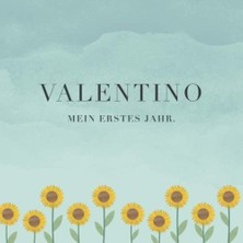 Valentino Mein Erstes Jahr: Baby Tagebuch I Babyalbum I Erinnerungsalbum I Eintragealbum I Kinderbuch I Babybuch I Perfektes Babyshower Oder Babyparty Geschenk Für Die Geburt Von Valentino