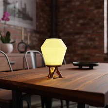 Deco Fabrıca Modern Organik Tasarım Masa Lambası – Akışkan Formlu Minimalist Abajur | Ev ve Ofis Için Doğal Ilhamlı Dekoratif Aydınlatma