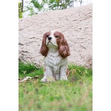 Hi-Line Gift 87803-C Kahverengi/beyaz Kral Charles Spaniel Oturan Heykel