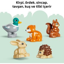 Urfakent Vahşi Hayvanlarla Keşif Ormanı 10480