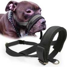 Empressco Renkli Köpek Ağızlığı, Eğlenceli ve Güvenli Eğitim Tasması
