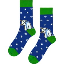 Carnaval Socks Beyaz Kedi Desenli Mavi Renkli Soket Çorap