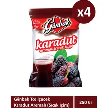 Günbak 250 Karadut Aromalı Toz Içecek x 4 Adet