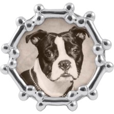 Köpek Kemik Yuvarlak Çerçeve Gümüş 4 x 6