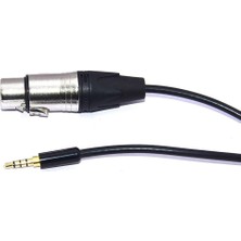 Mykablo Cep Telefonu Mikrofon Kablosu 3.5 mm TRRS to XLR Dişi 2 Metre