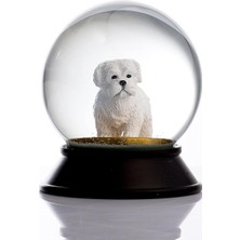 ve Reçine Altın Patiler Köpek Maltese Terrier Kar Küresi Hediye