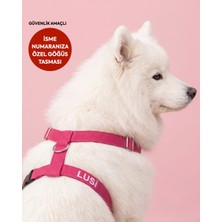 Lusi Doog Güvenlik Amaçlı Numaralı Isimli Köpek Göğüs Tasması Kişiye Özel Göğüs Tasması (Nakışlı)