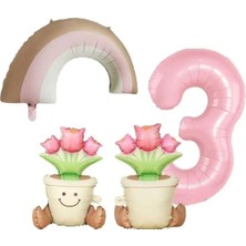 Retro Kaktüs Gökkuşaği Folyo Yaş Balon Set, 345643565345