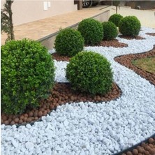 Asenya Dolomit Taş 4 kg 2-4 cm Beyaz Dolomit Taş Saksı Dibi Dekoratif Taş Bahçe Süsleme Taşı Peyzaj Taşı