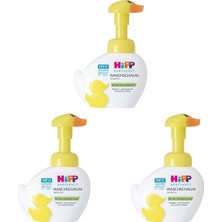 Hipp Bebek El Yıkama Köpüğü 250 ml 3lü Paket