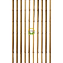 Fidan Sepetim Dikim Destek Çubuğu 10 Adet (180CM)