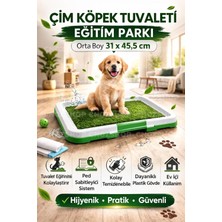 Cngzshop Pet Park Köpek Tuvalet Eğitim Parkı, 31 x 45,5 Cm, Büyük Boy