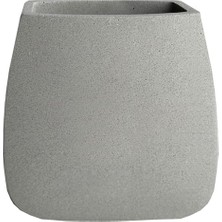 Primanova Mıthra Diş Fırçalık D-20892