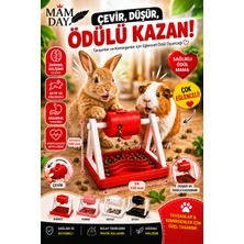 Mam Day Tavşan Ginepig Hamster Interaktif Zeka Ödül Oyuncağı Eğlenceli Kemirgen Oyunu