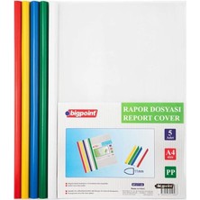 Bigpoint BP277 Sıkıştırmalı Dosya, Şeffaf, A4