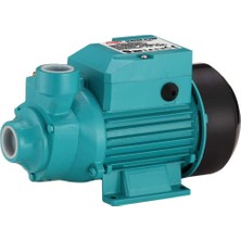 Rtrmax RTM874 750 Watt/1.0hp 1x1" 60 M Su Pompası, Yeşil