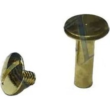 Mentra Online Cilt Menü, Katalog, Kartela Vidası, 13MM - Sarı, 1 Adet