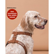 Lusi Doog Güvenlik Amaçlı Numaralı Isimli Köpek Göğüs Tasması Kişiye Özel Göğüs Tasması (Nakışlı)