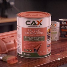 CAXCOLORS Isıya ve Sıvıya Dayanıklı Koruyucu Boya - 1 Litre - Yüksek Performanslı Yüzey Kaplama