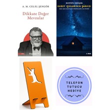 İnkılap Kitabevi Dikkate Değer Mevzular - A. M. Celal Şengör + Kuzey Işıklarının Şarkısı + Telefon Tutucu