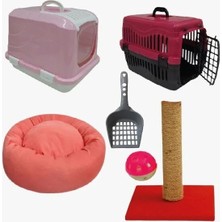 Bio Sand Petzen Kedi Başlangıç Seti 6'lı Pembe