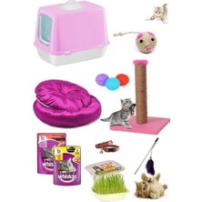 Petzen Bio Sand Kedi Başlangıç Seti 10 Parça